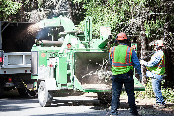 Best Emergency Tree Removal  in Charleroi, PA
